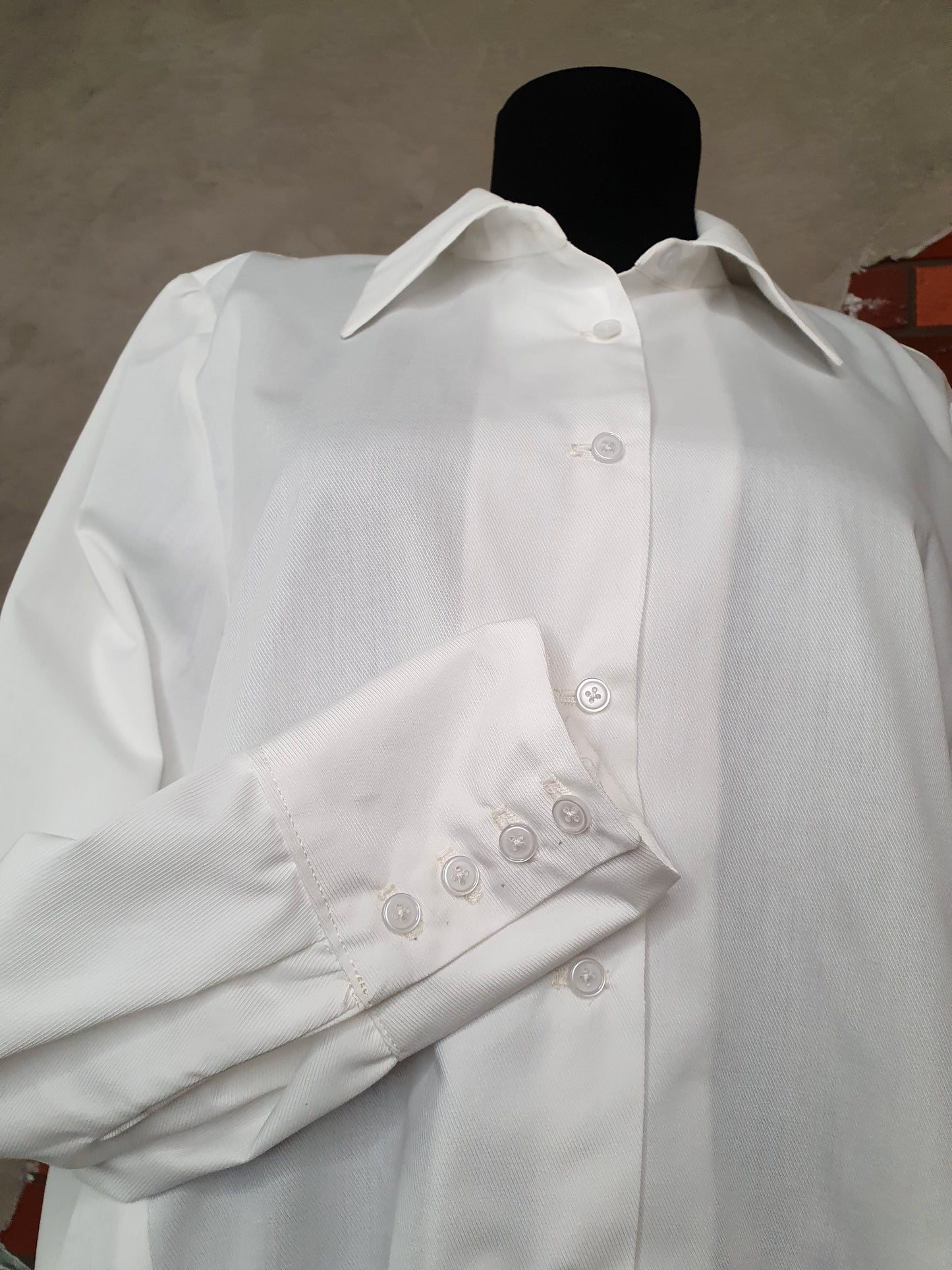 Camasa pictata Unveiled wings