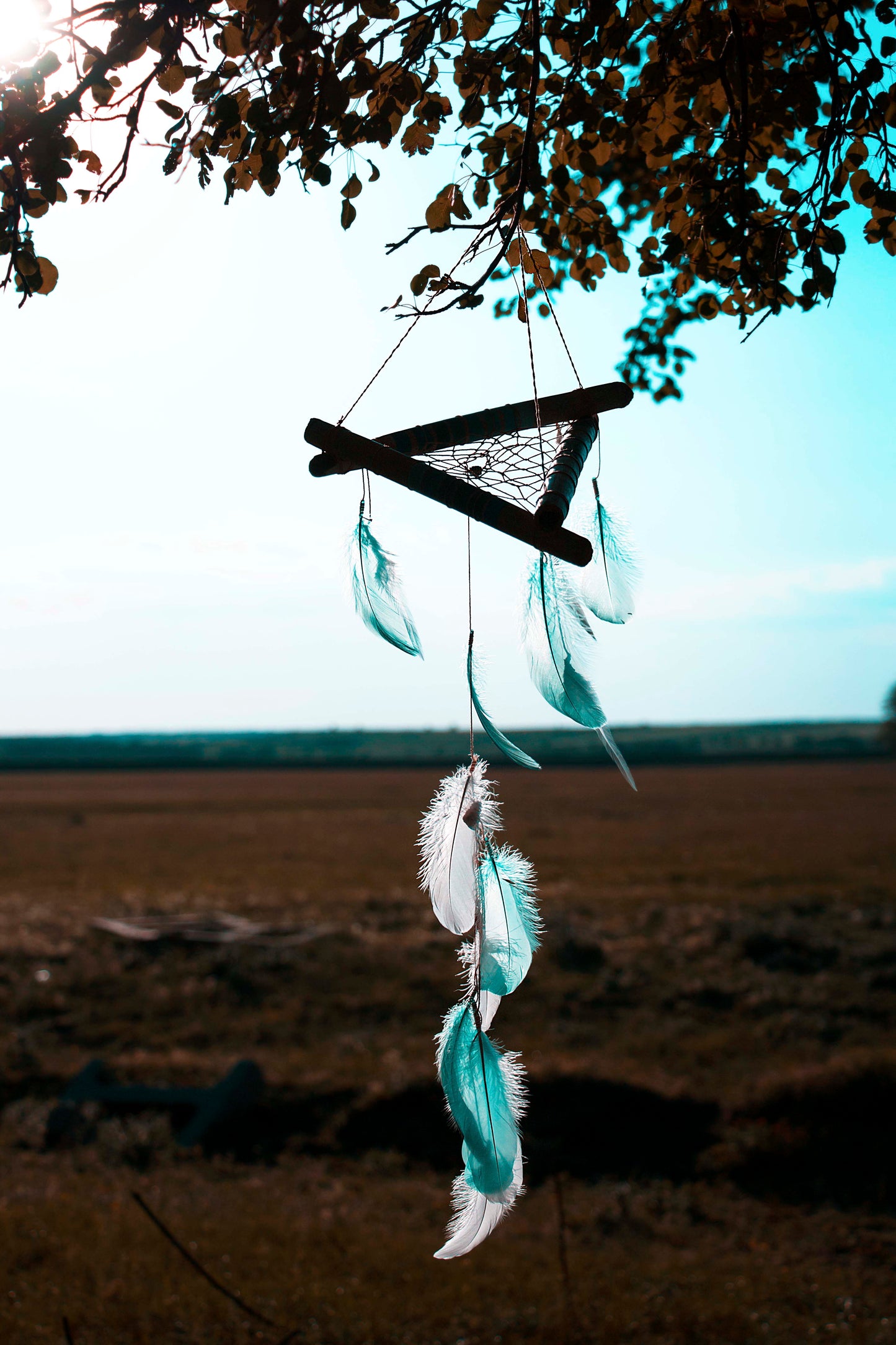 Dream catcher Blue Vibe