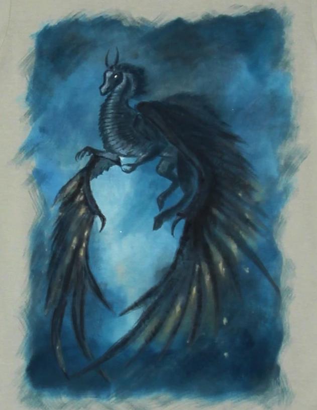 Tricou Pictat, Cadou unicat, Cadou pictat, Pictura pe haine, tricouri personalizate piticool, Dragon, dragon Pictat, Painted Dragon, tricouri pictate manual, tricouri pictate manual casual, tricouri pictate manual pret, pictura tricouri, tricouri pictate pentru copii, cadou sf valentin, valentine's day