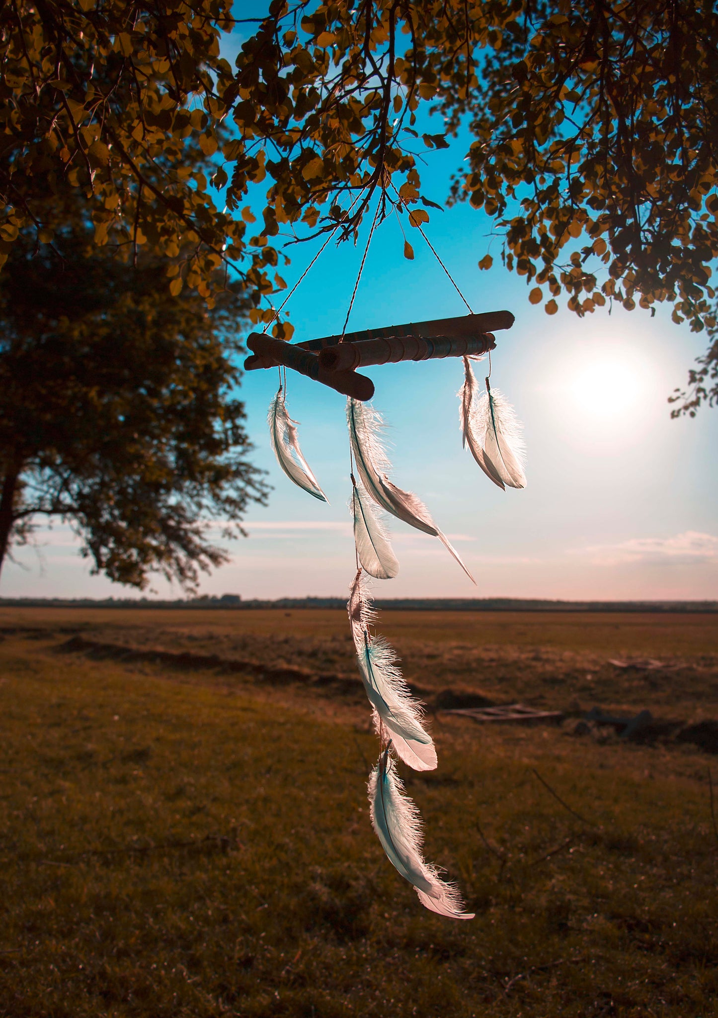 Dream catcher Blue Vibe